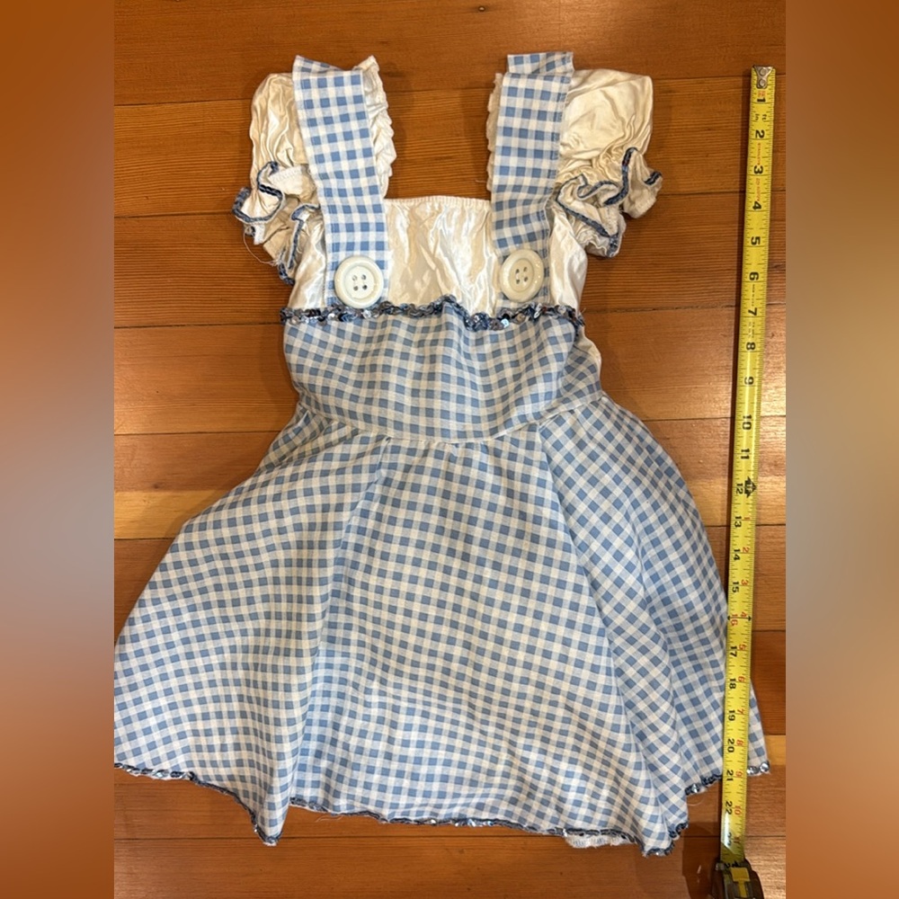 Dorothy from wizard of Oz dress